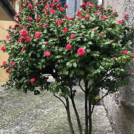 Appartamento Casa Domaso Esterno foto